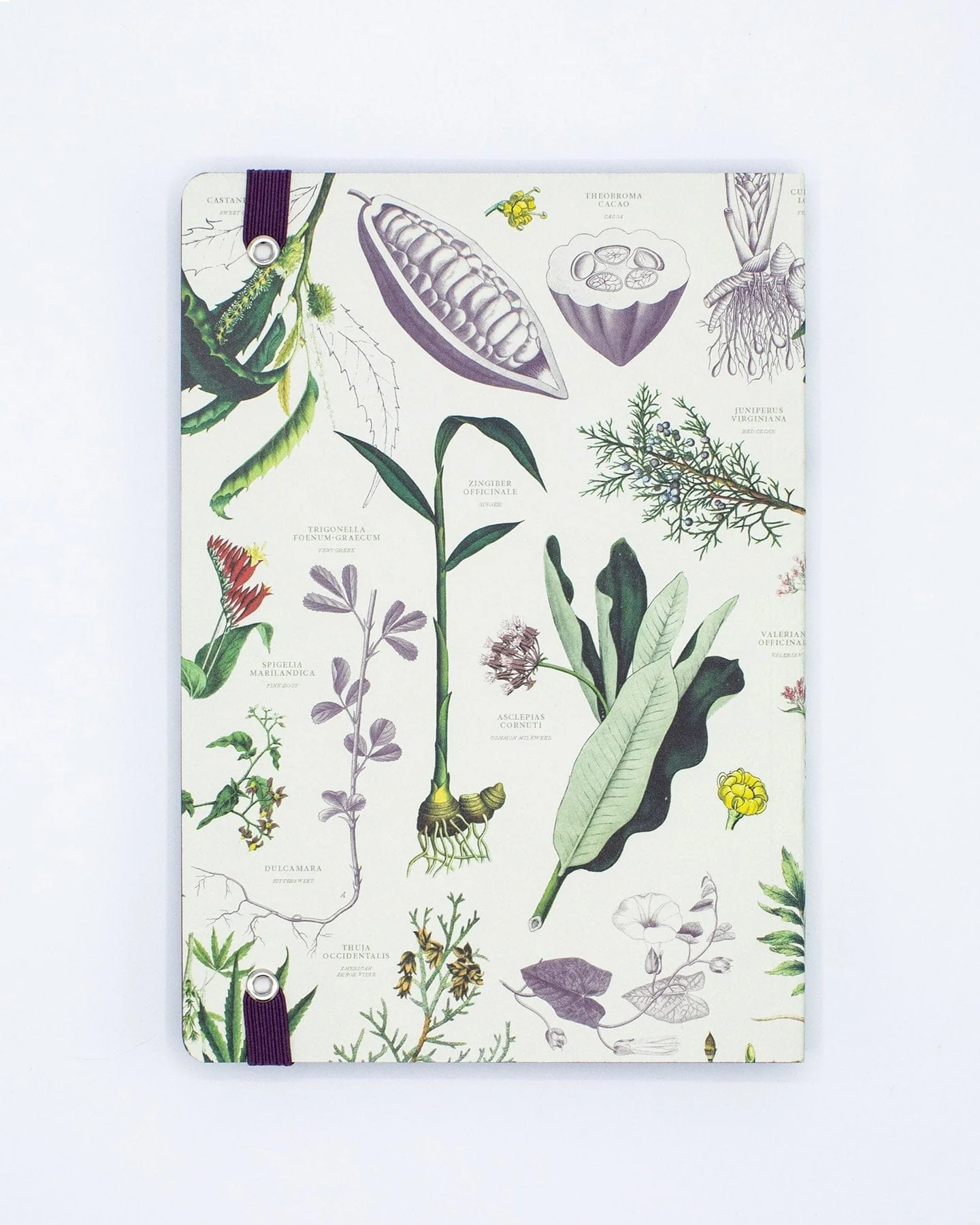 Medicinal Botany A5 Softcover Notebook - Image 3