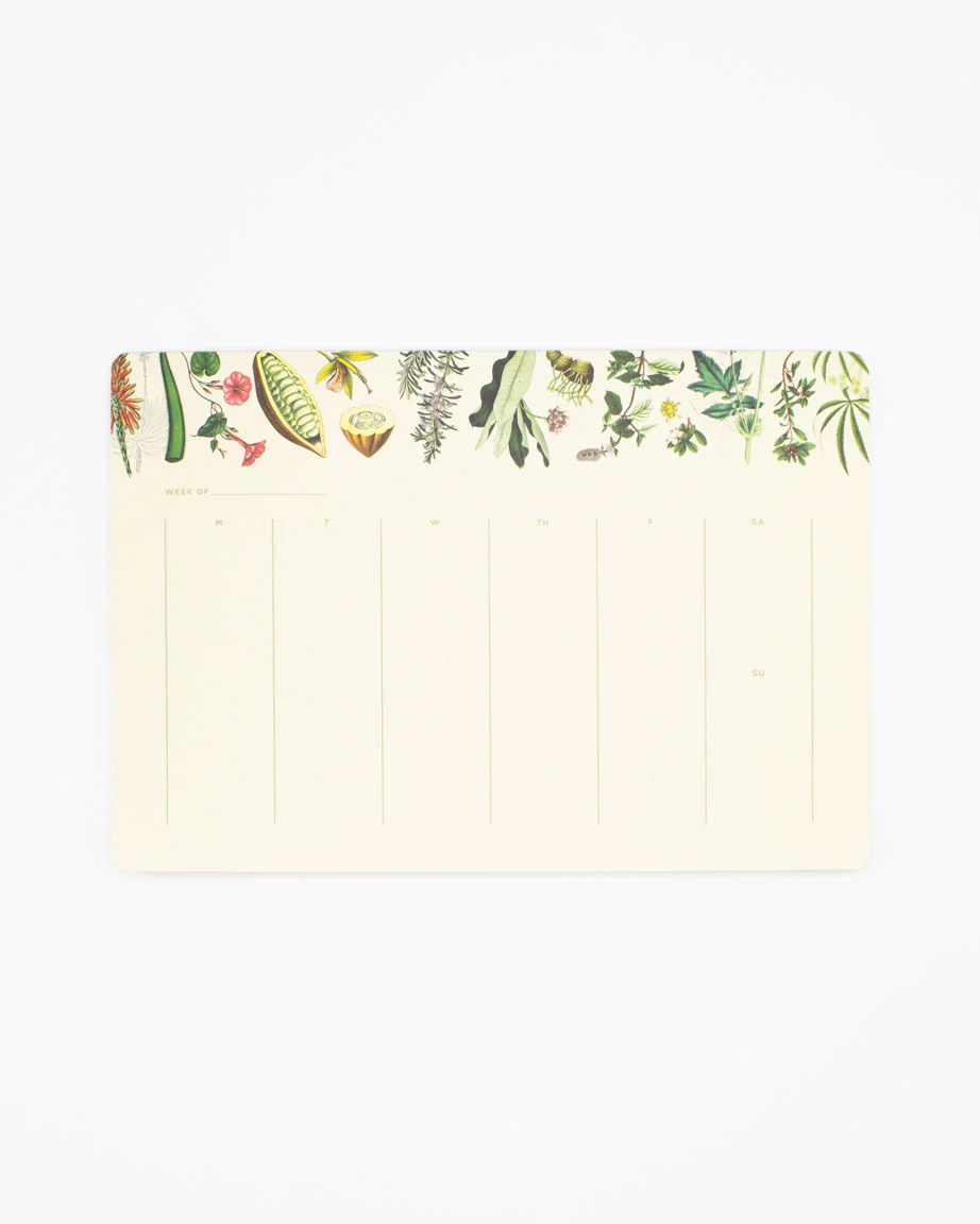 Medicinal Botany Notepads - Image 2