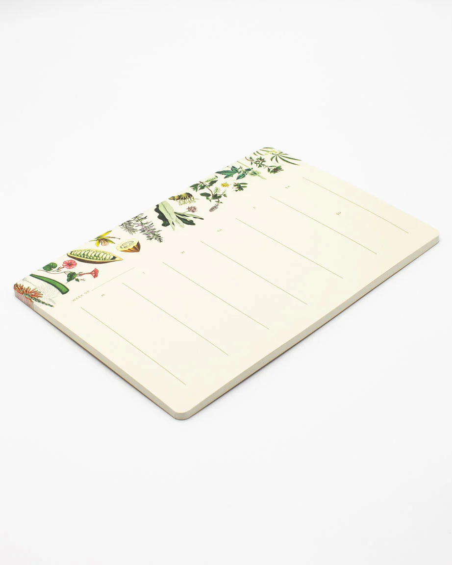 Medicinal Botany Notepads - Image 3