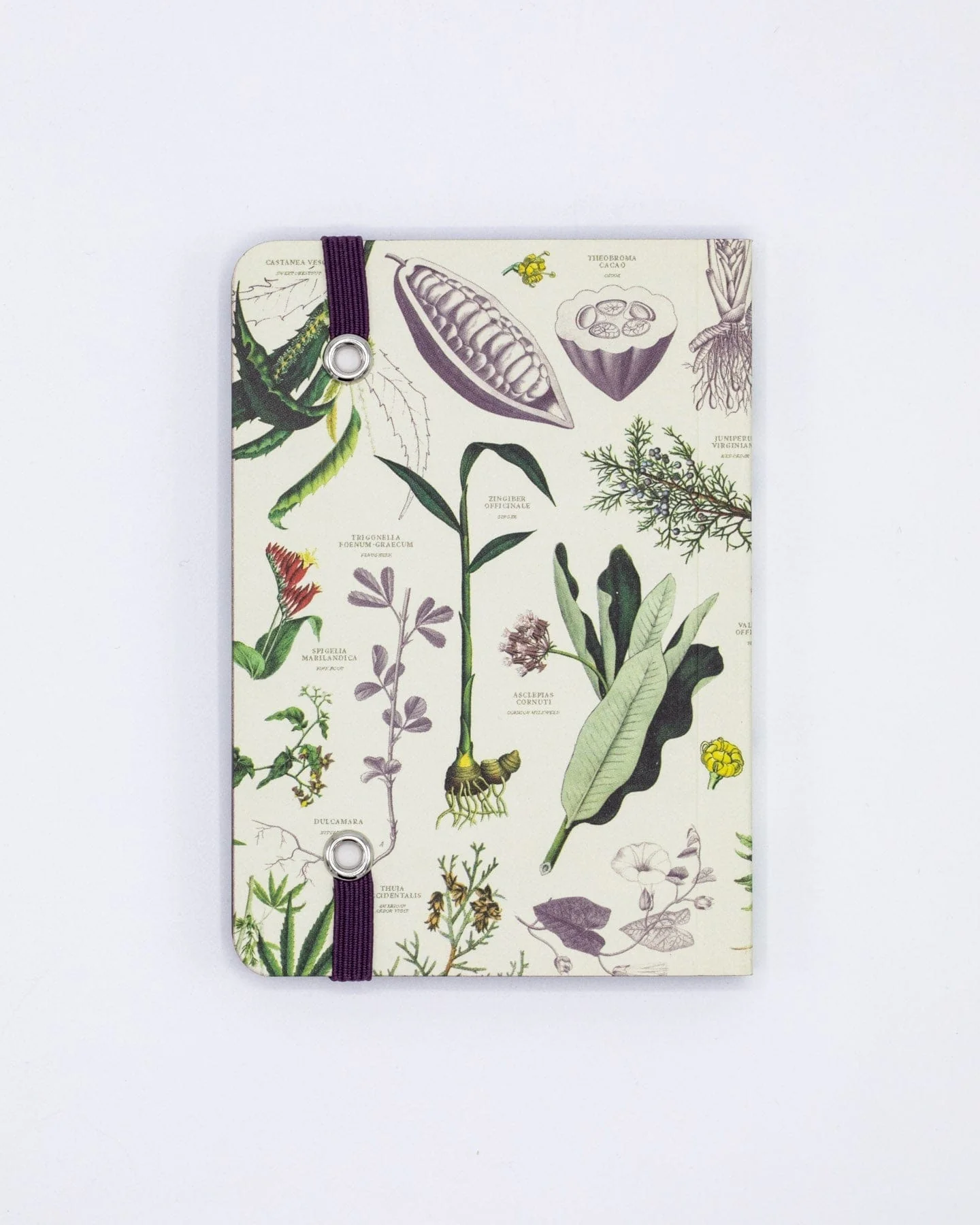 Medicinal Botany Observation Softcover - Image 3