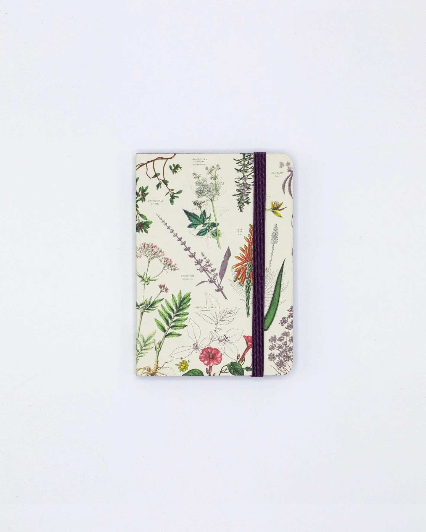 Medicinal Botany Observation Softcover - Image 4