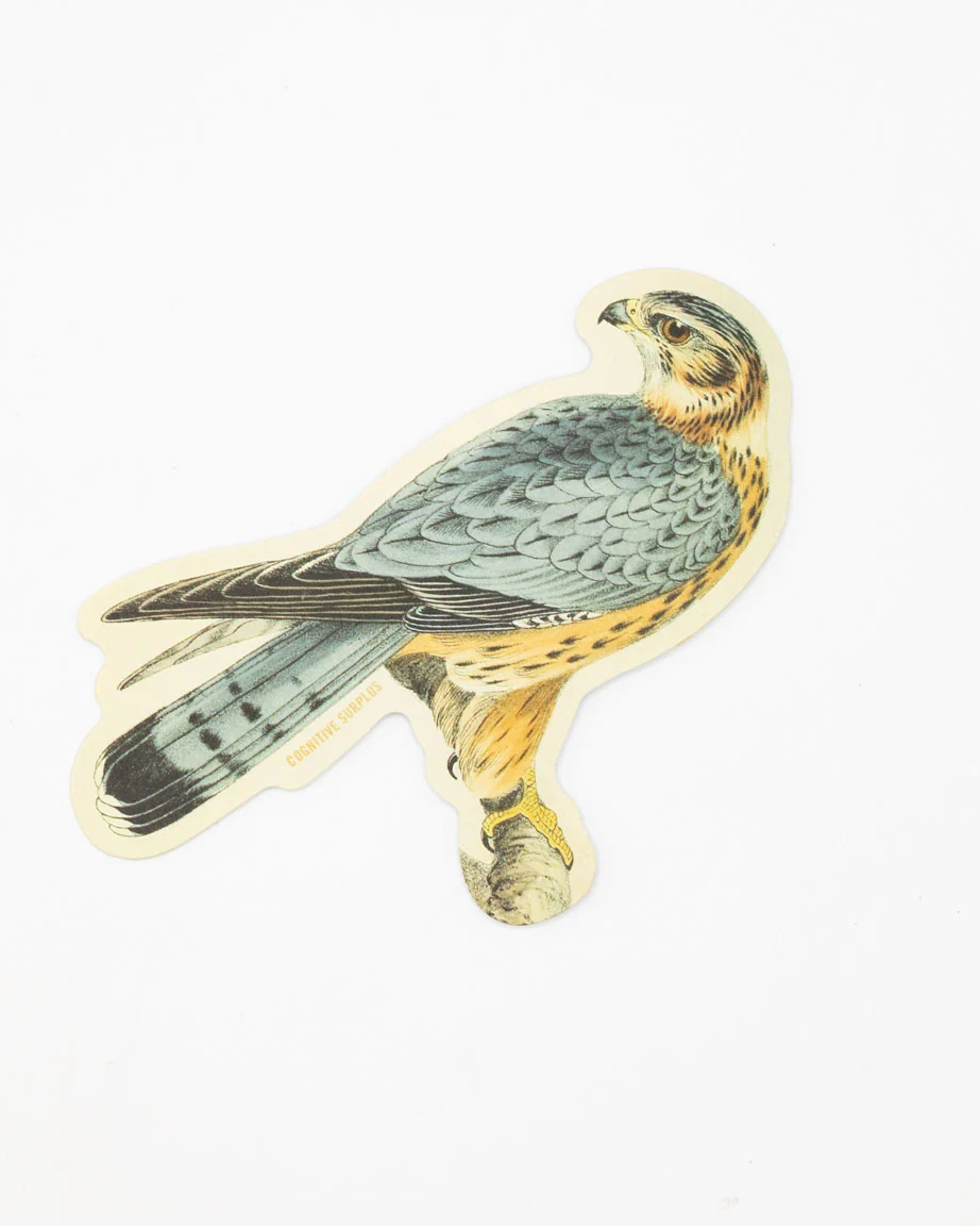 Merlin Falcon Sticker - Image 2