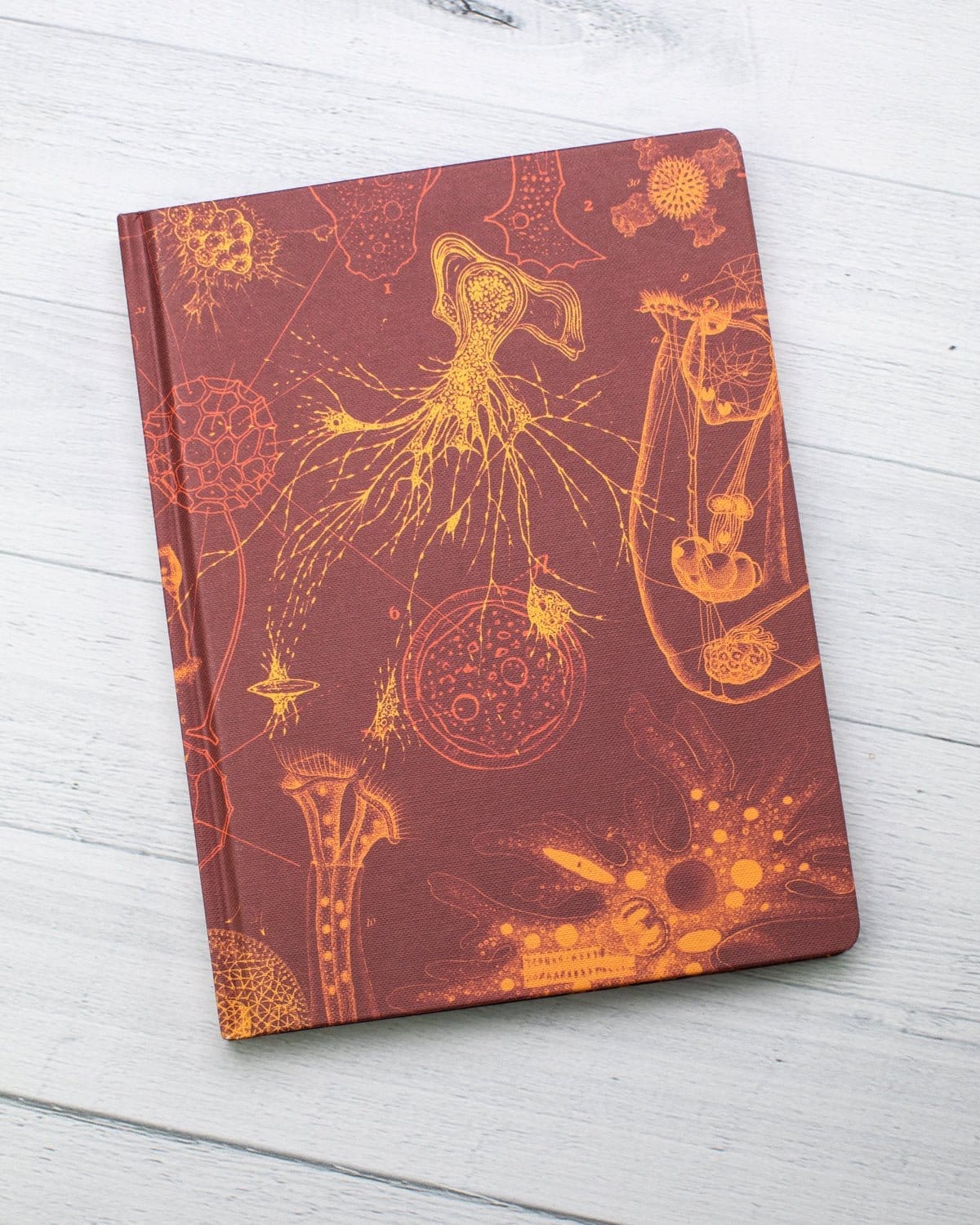 Microbiology Hardcover Notebook - Dot Grid - Image 5