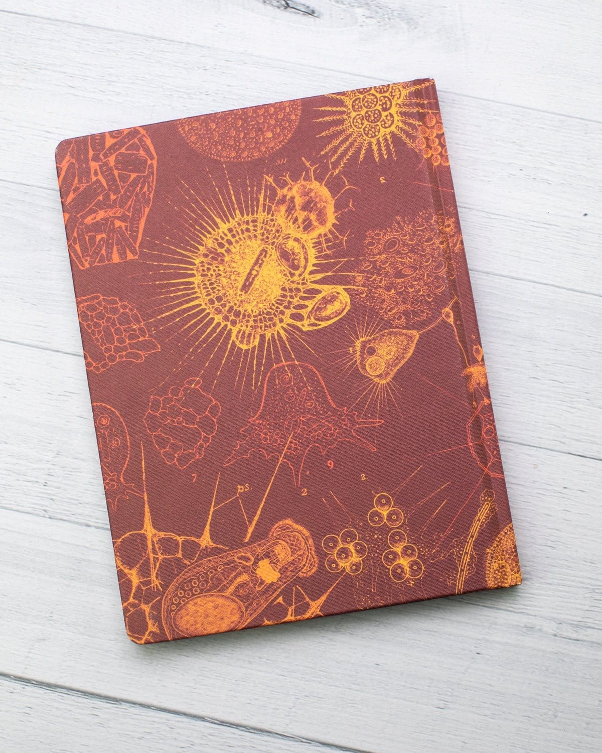 Microbiology Hardcover Notebook - Dot Grid - Image 6