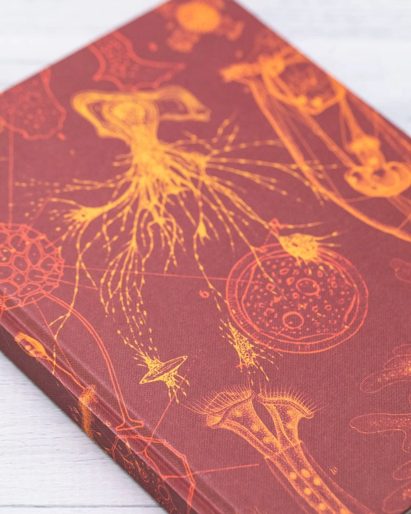 Microbiology Hardcover Notebook - Dot Grid - Image 7