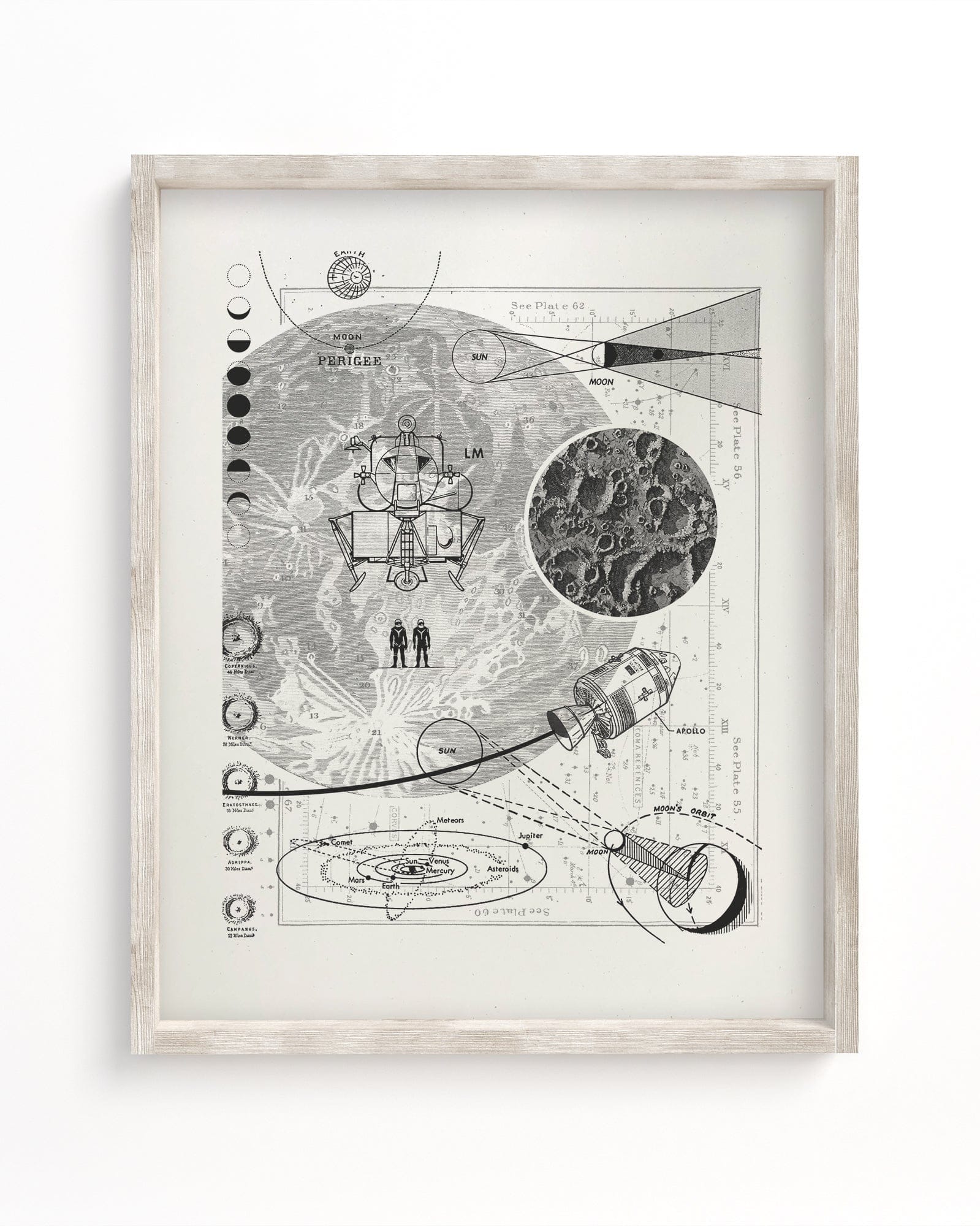 Moon Scientific Illustration Museum Print