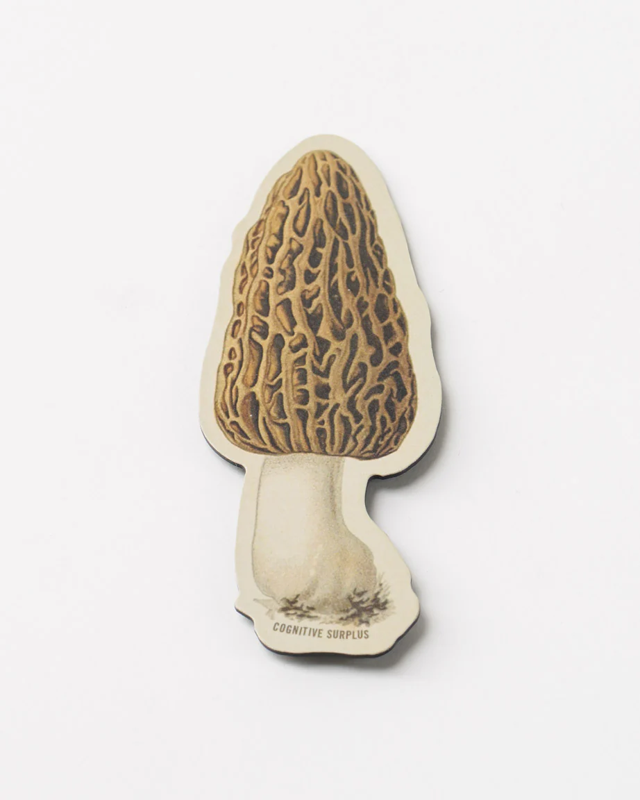 Morel Mushroom Magnet