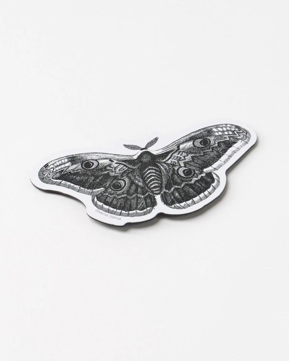 Moth Magnet
