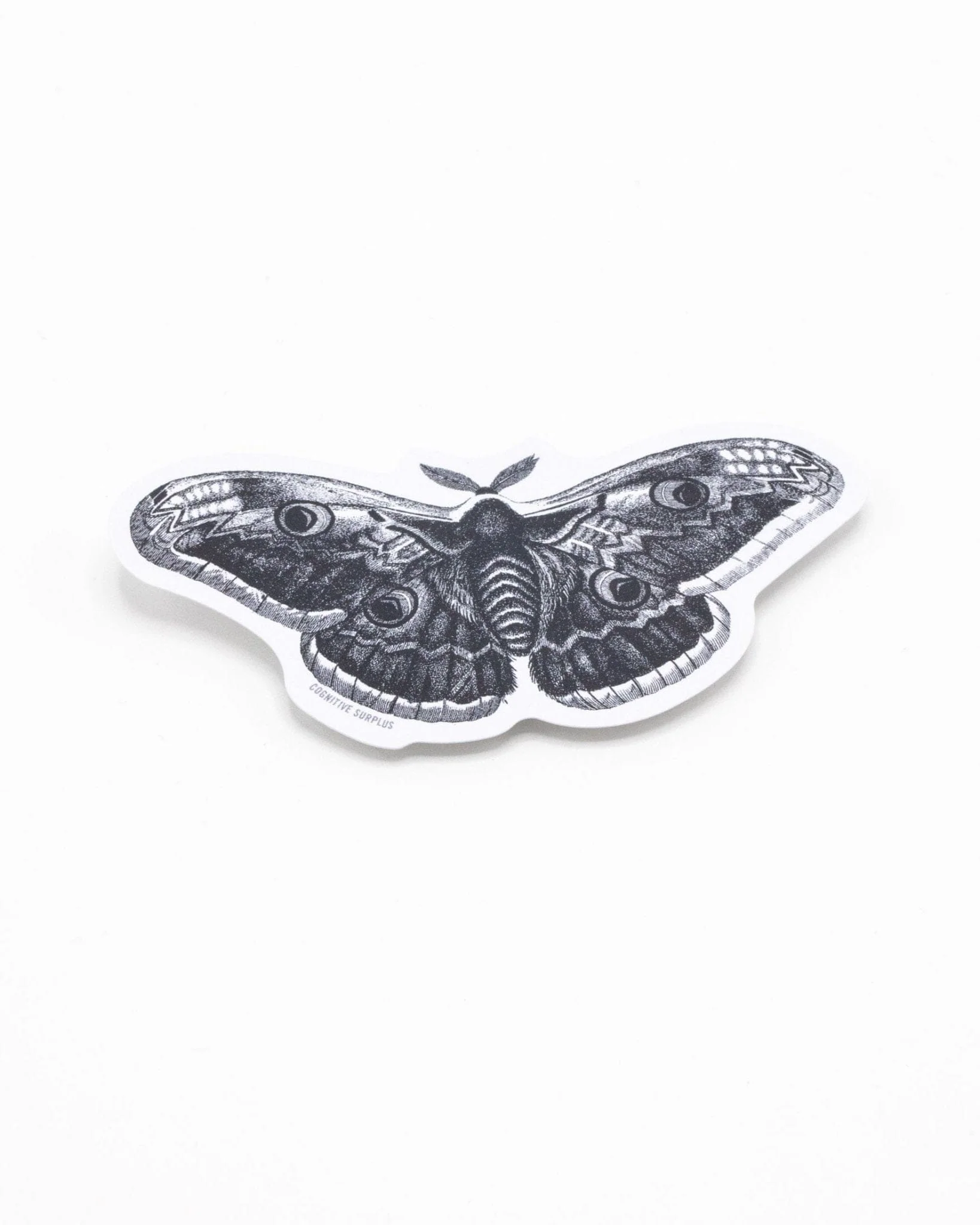 Moth Sticker