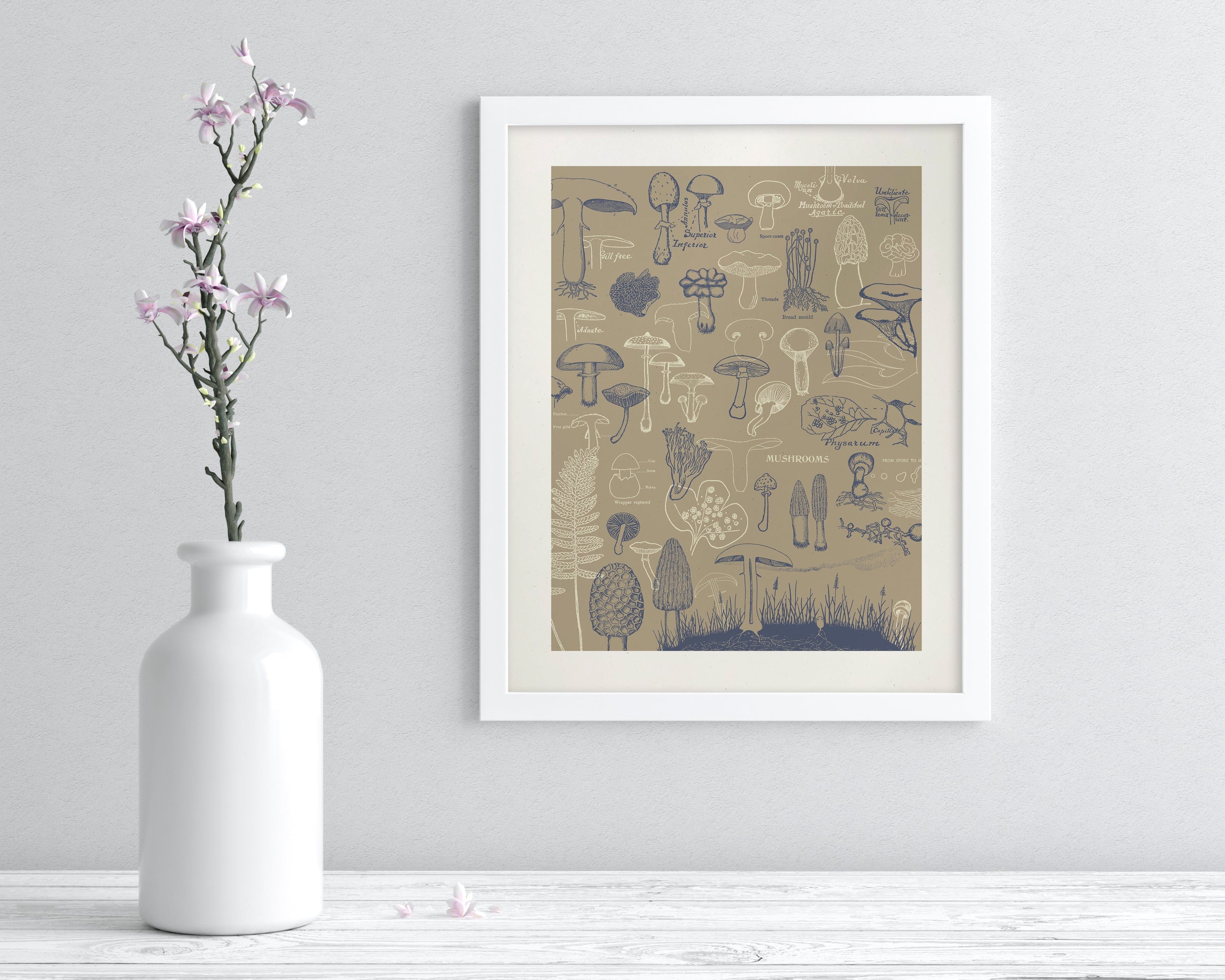 Mushrooms Scientific Illustration Museum Print - Image 3