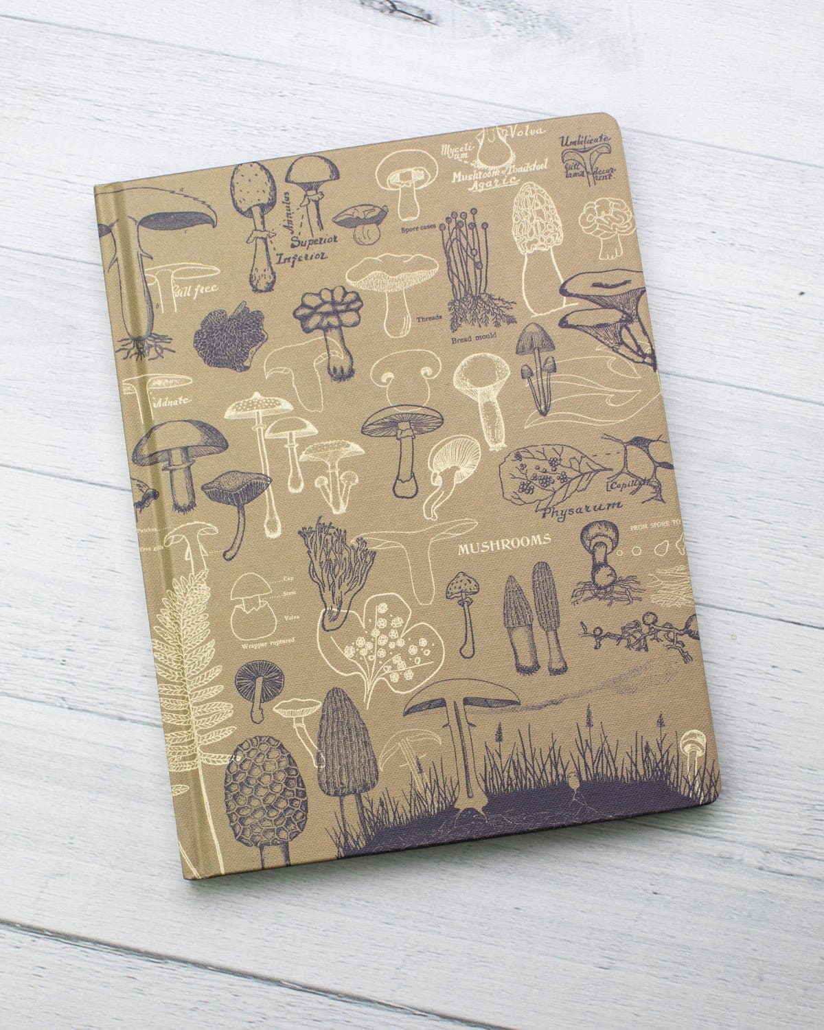 Mushrooms Hardcover Notebook - Dot Grid - Image 5