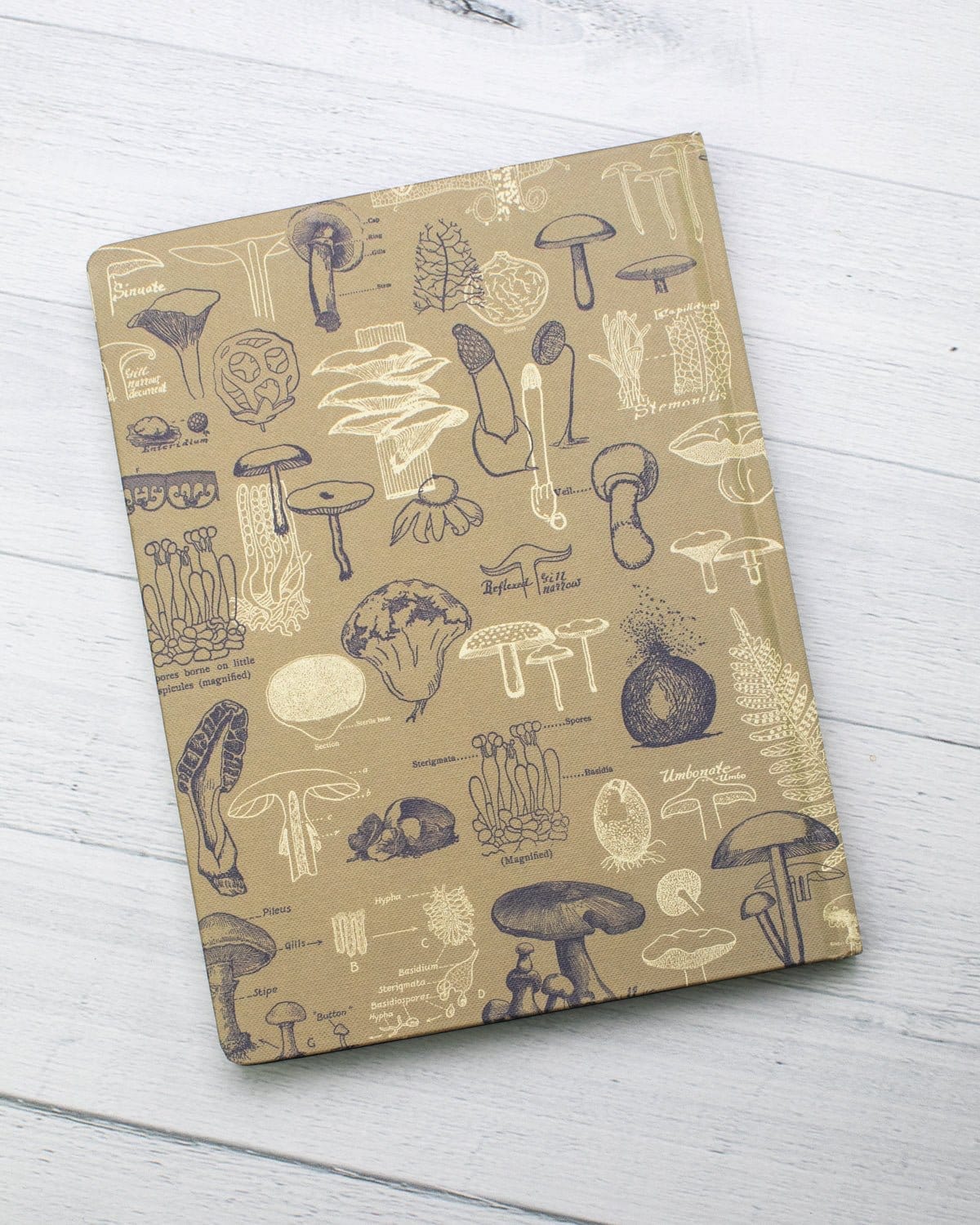 Mushrooms Hardcover Notebook - Dot Grid - Image 6