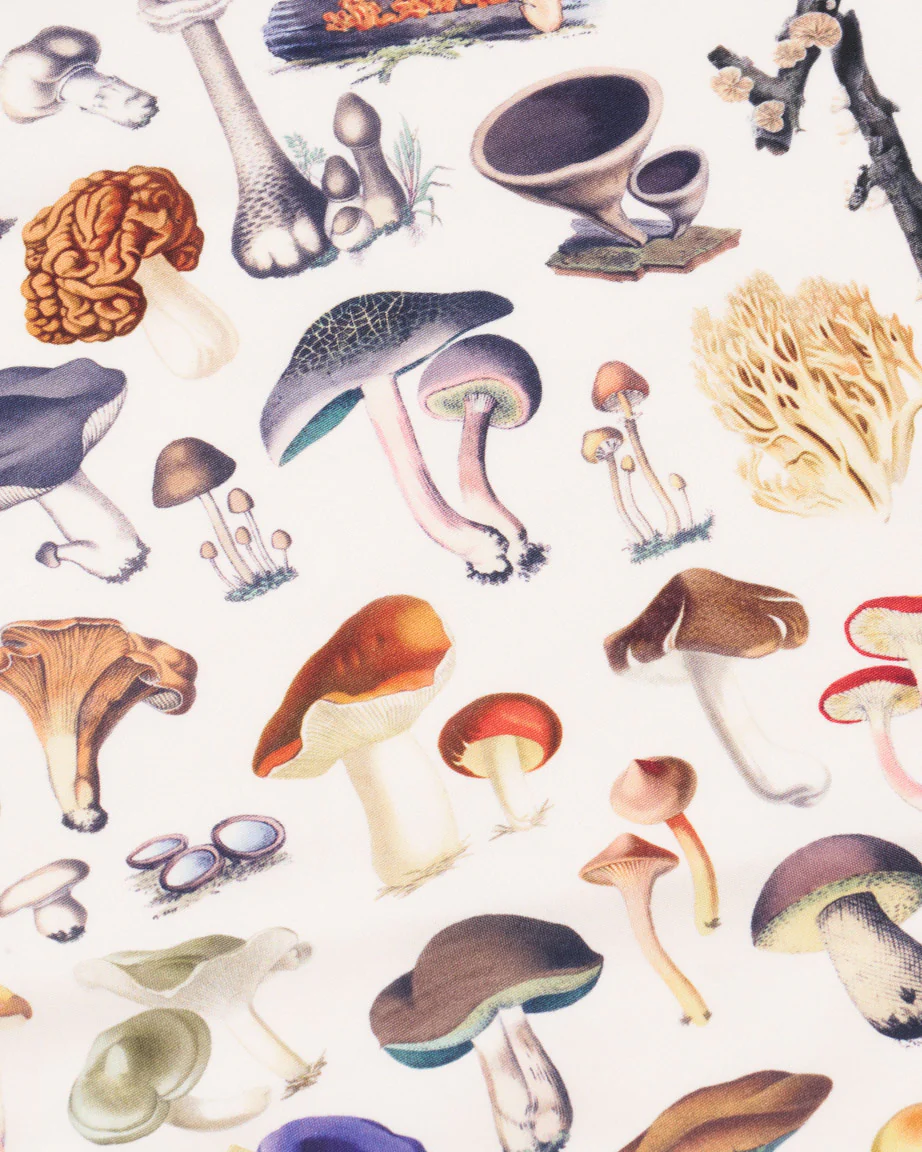 Mushrooms Eco Pet Bandana - Image 2
