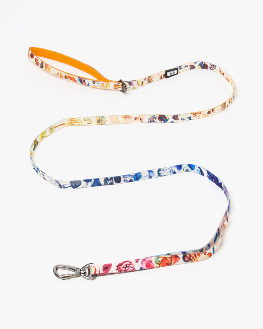 Mushrooms Eco Pet Leash - Image 4