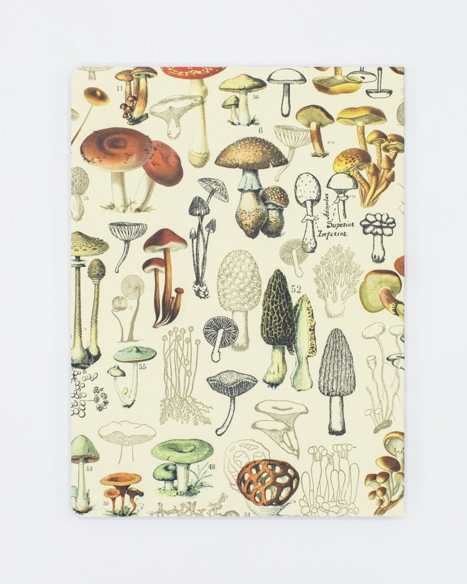 Woodland Mushrooms Softcover Notebook - Dot Grid - Image 2