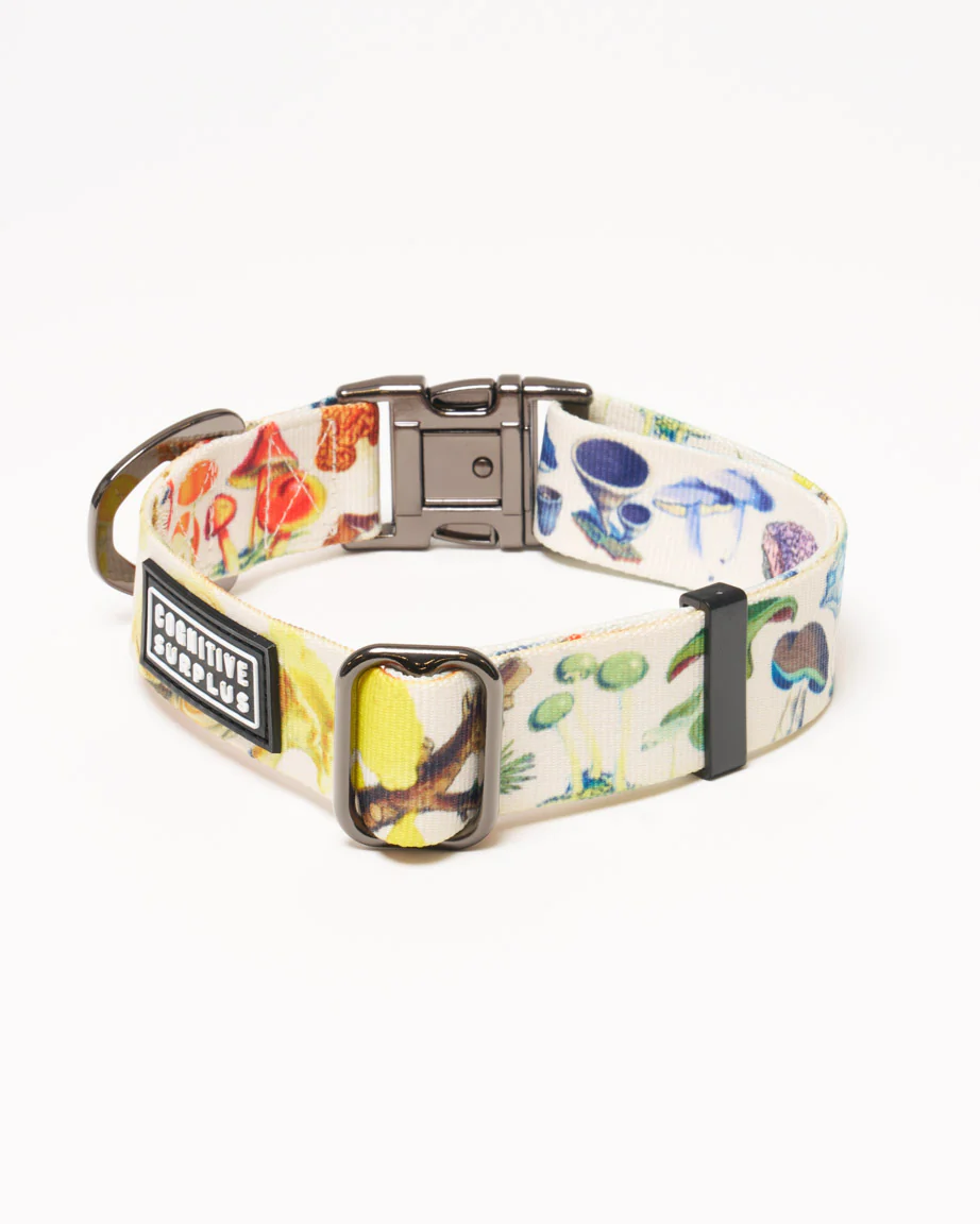 Mushrooms Eco Pet Collar - Image 3