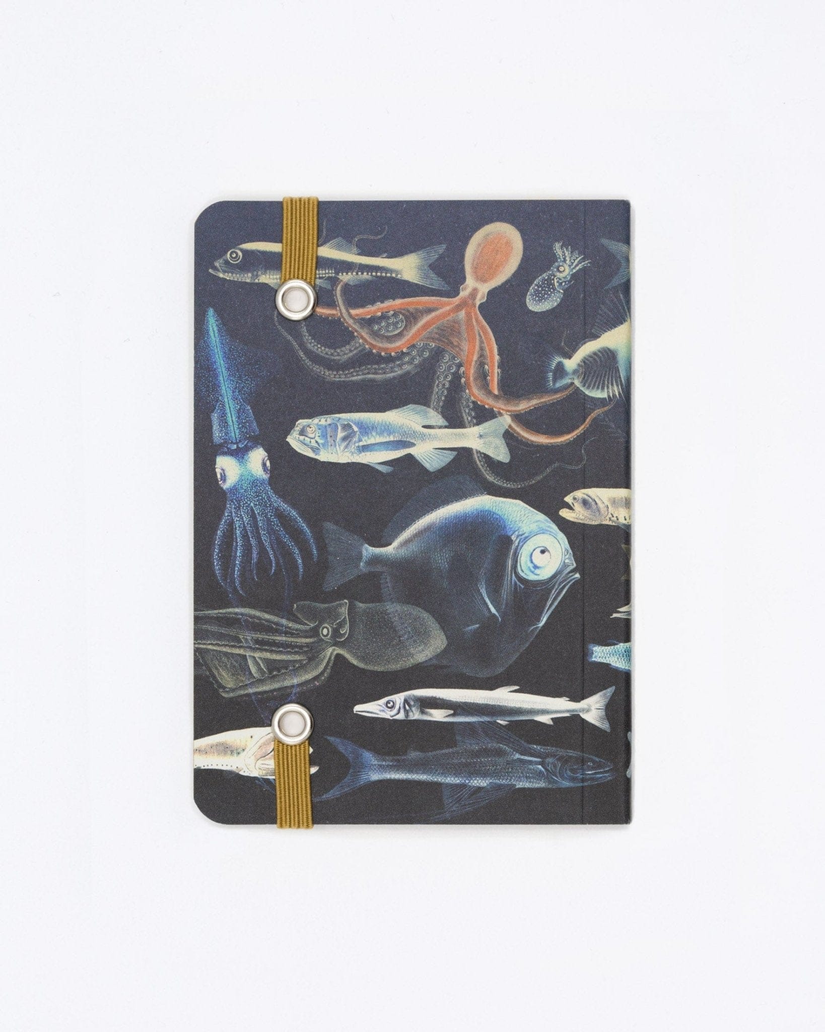 Mysteries of the Deep Observation Softcover - Image 3