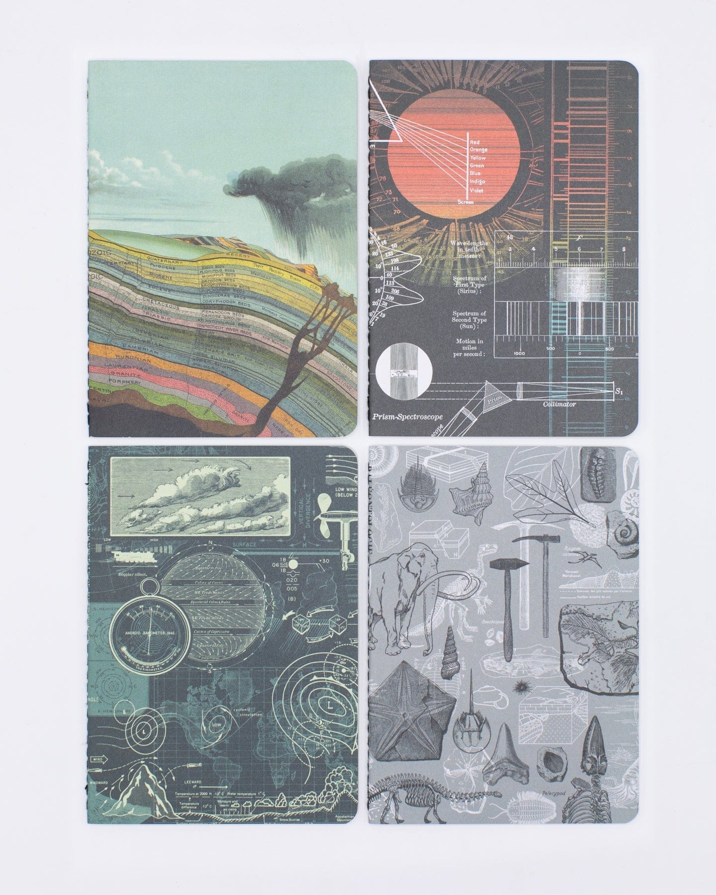 Natural History Pocket Notebooks 4-pack - Image 4