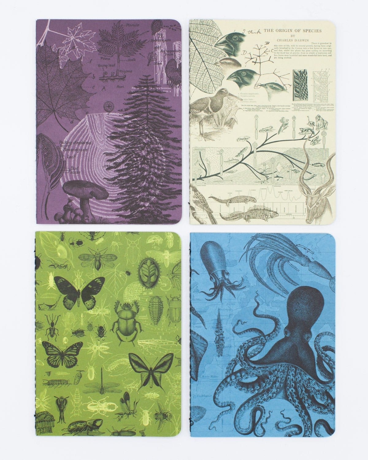 Natural Science Pocket Notebook 4-pack - Image 4