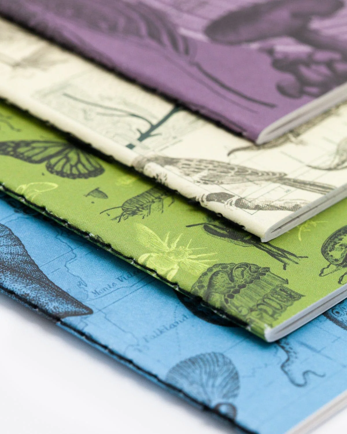 Natural Science Pocket Notebook 4-pack - Image 6