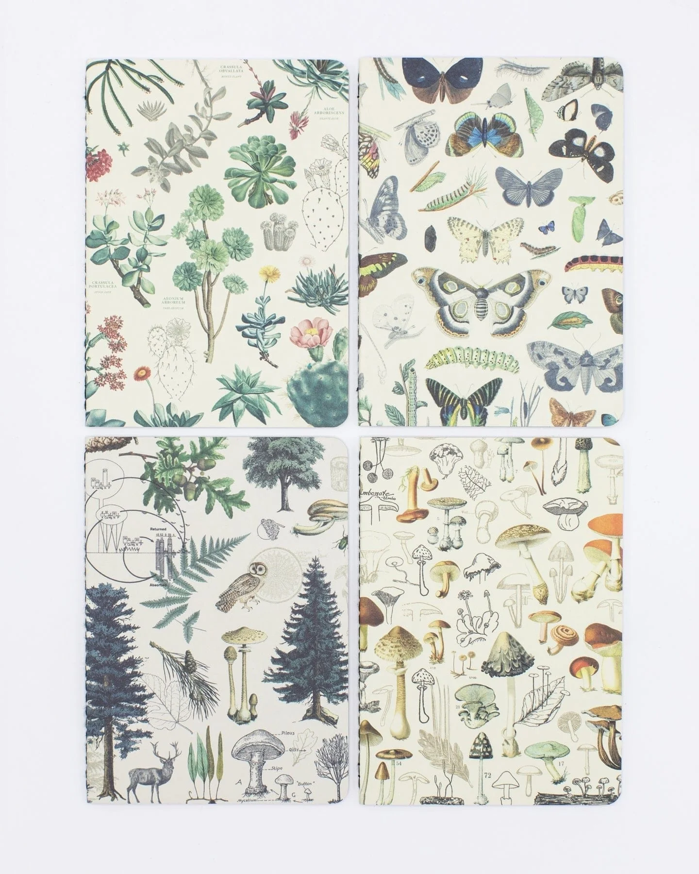 Nature Pocket Notebook 4-pack - Image 4