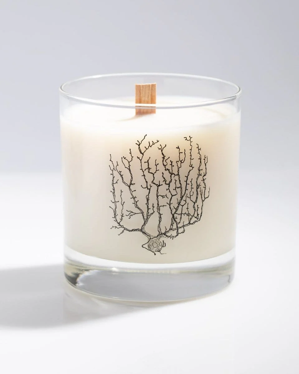 Nerve Cluster Cocktail Candle