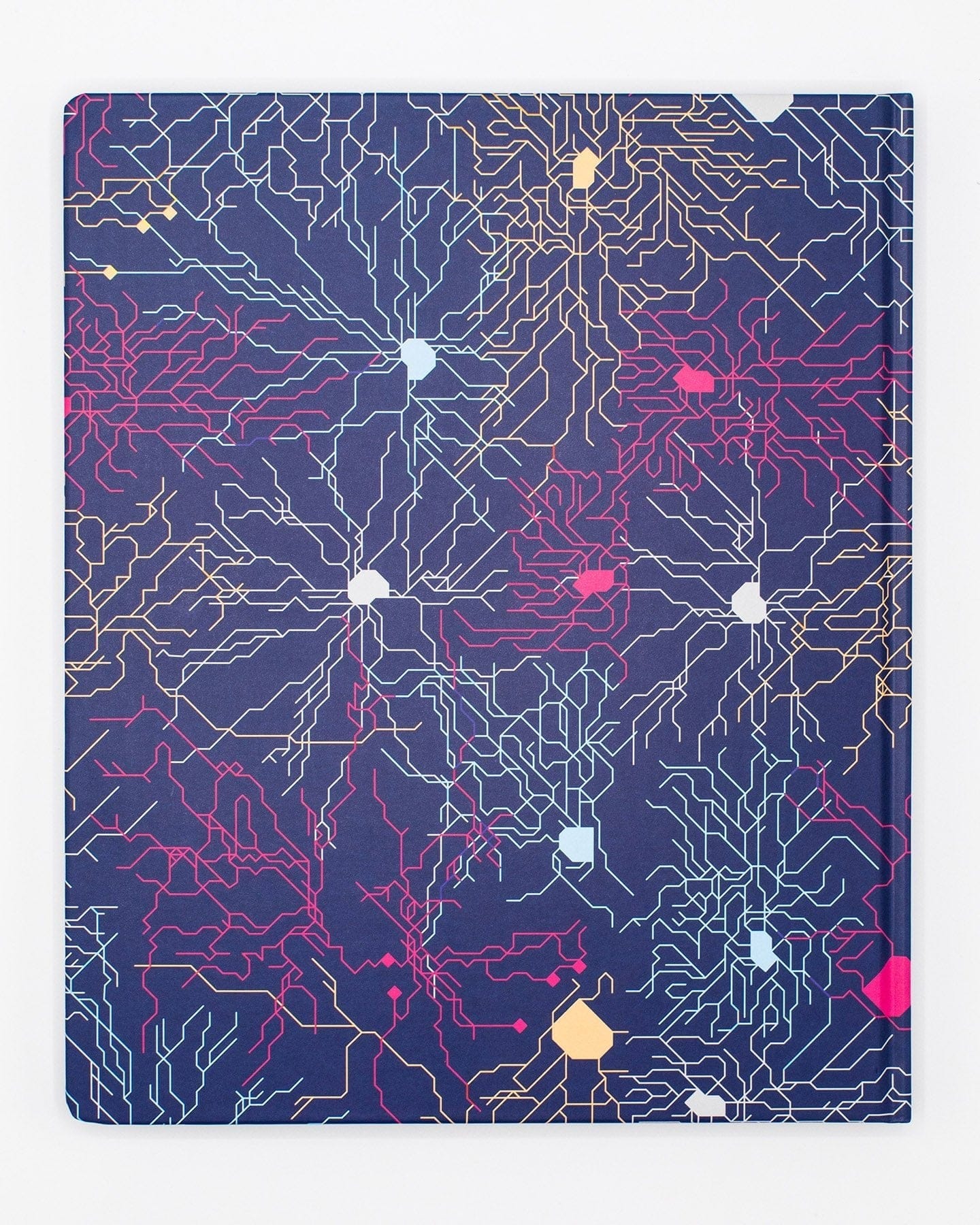 Neural Circuit Lab Notebook - Image 2