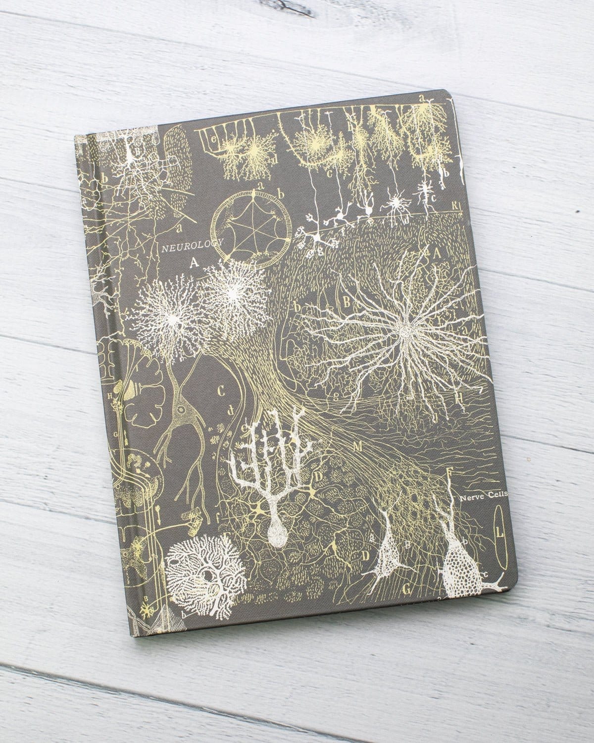 Neurons Hardcover Notebook - Lined/Grid - Image 5