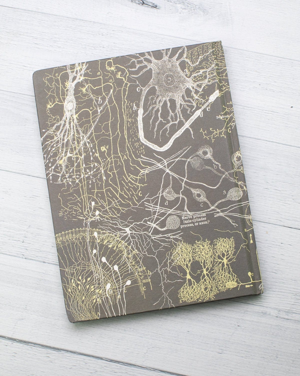Neurons Hardcover Notebook - Lined/Grid - Image 6