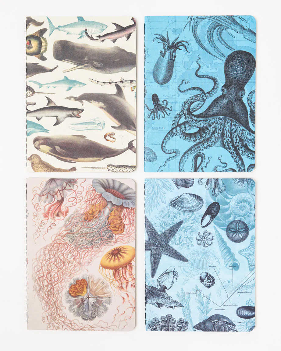 Ocean Pocket Notebook 4-pack - Image 3