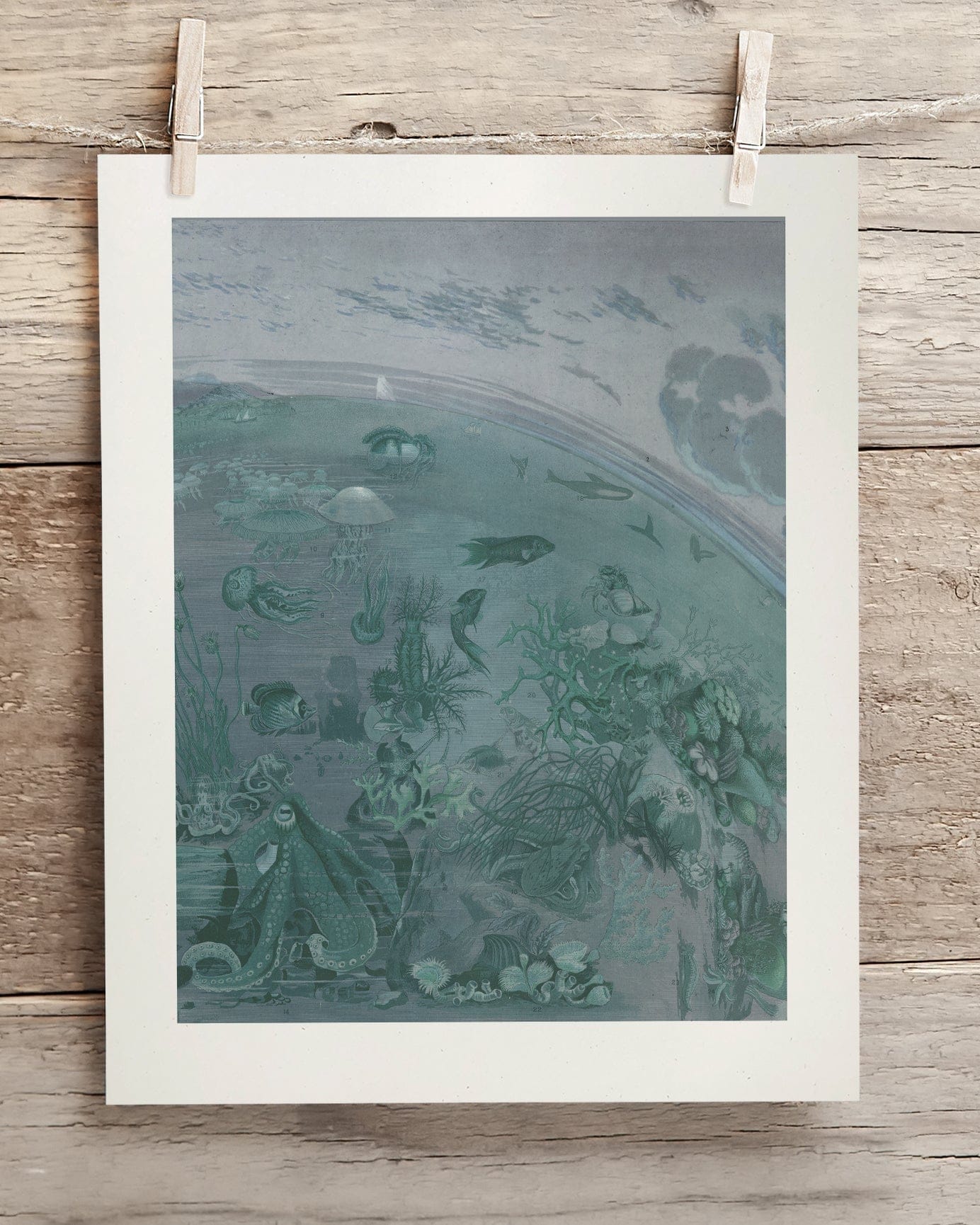 Ocean Planet Scientific Illustration Museum Print - Image 2