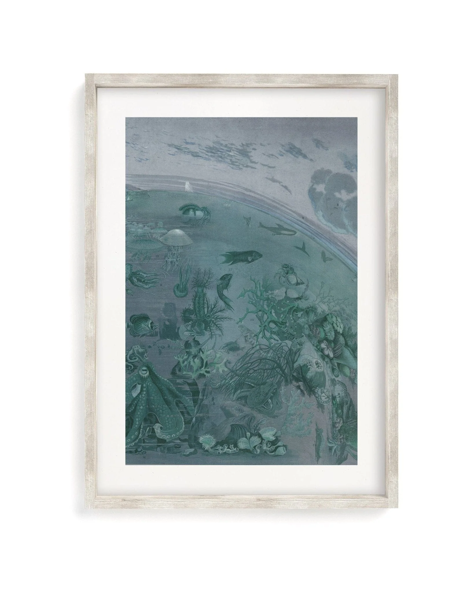 Ocean Planet Scientific Illustration Museum Print - Image 4