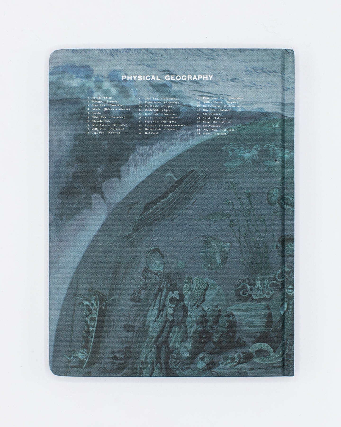 Ocean Planet Hardcover - Blank - Image 2