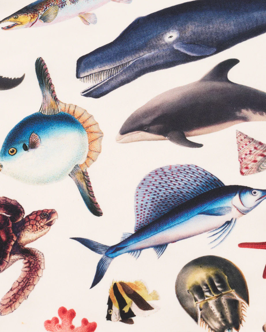 Marine Zoology Eco Pet Bandana - Image 2