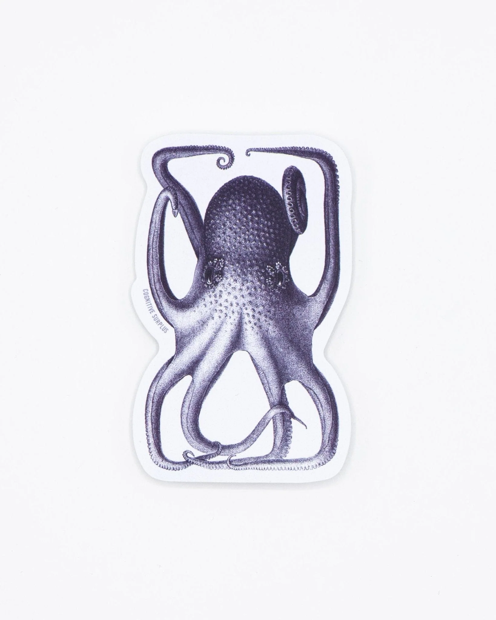Octopus in a Box Sticker - Image 2