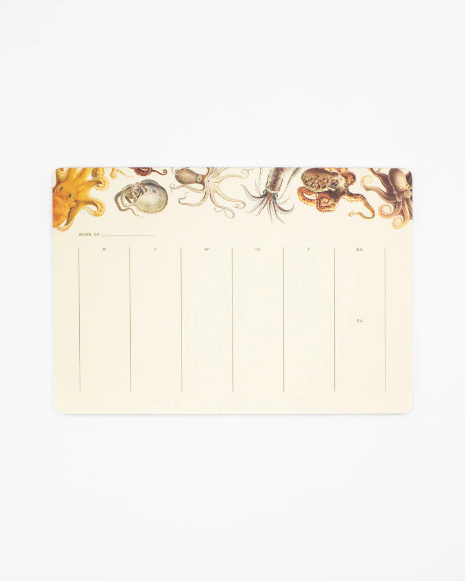 Octopus Notepads - Image 2