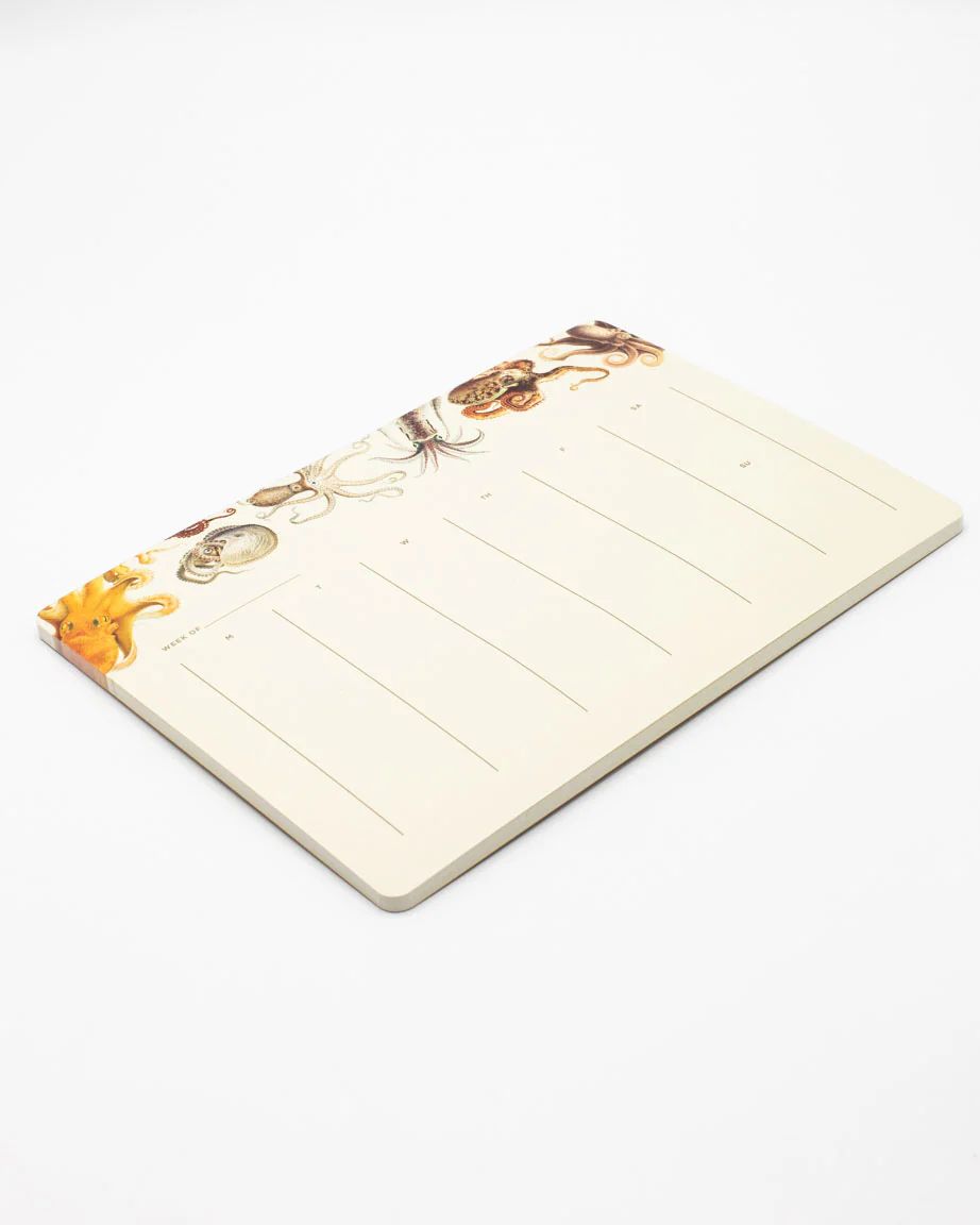 Octopus Notepads - Image 3