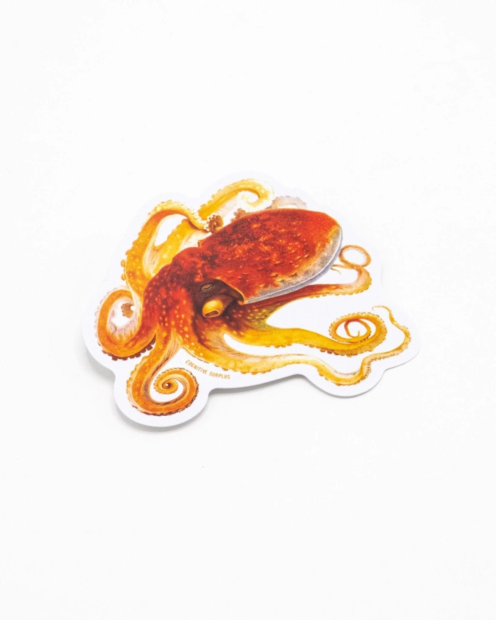 Octopus Sticker