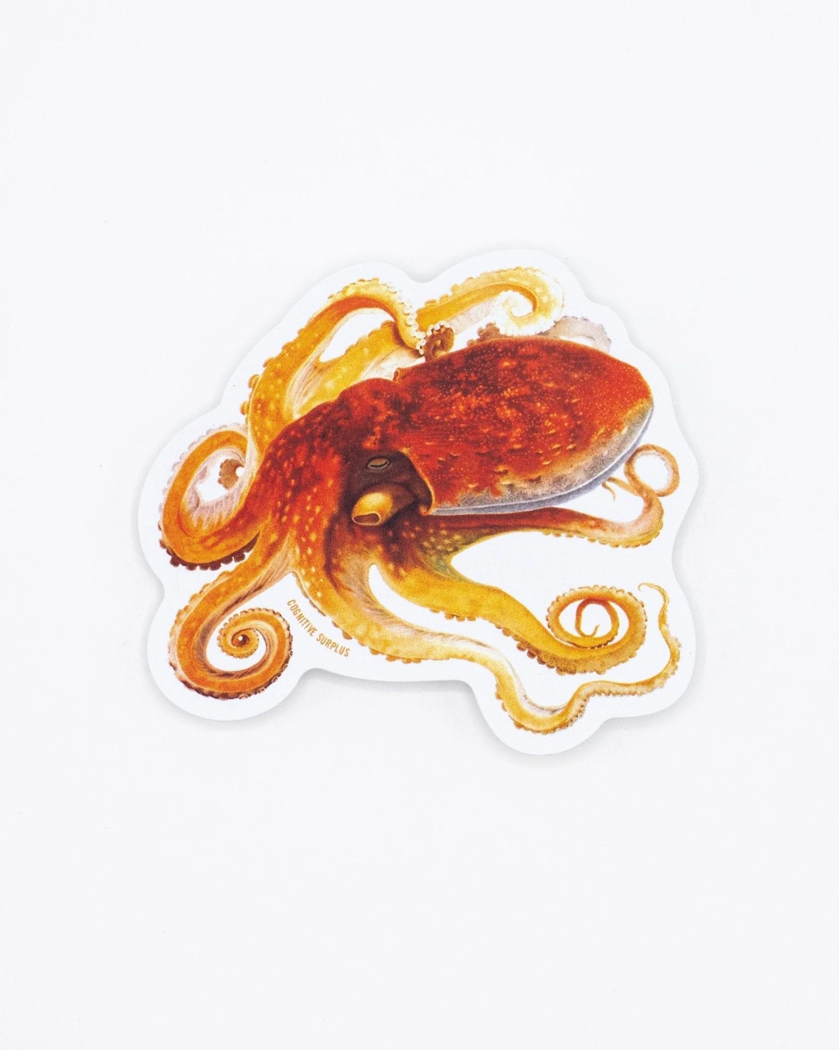 Octopus Sticker - Image 2
