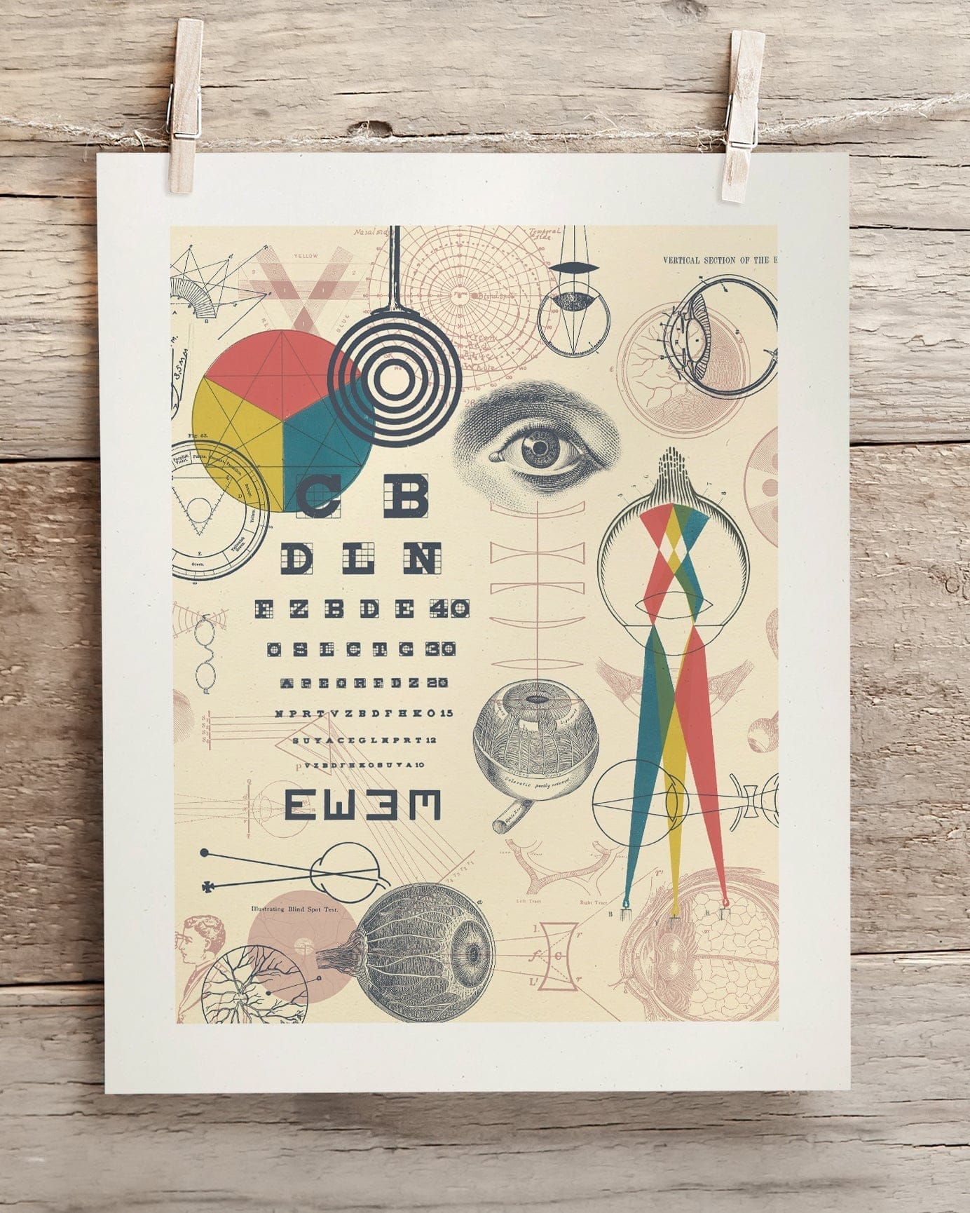 Optics & Sight Scientific Illustration Museum Print - Image 2