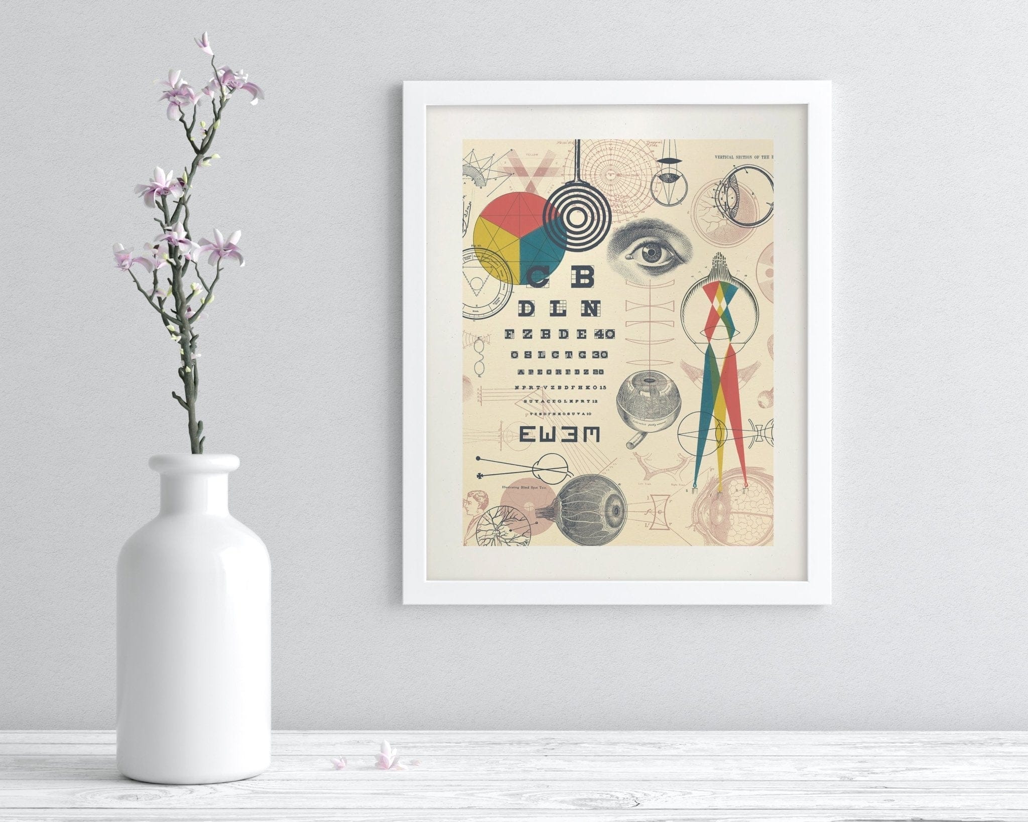 Optics & Sight Scientific Illustration Museum Print - Image 3