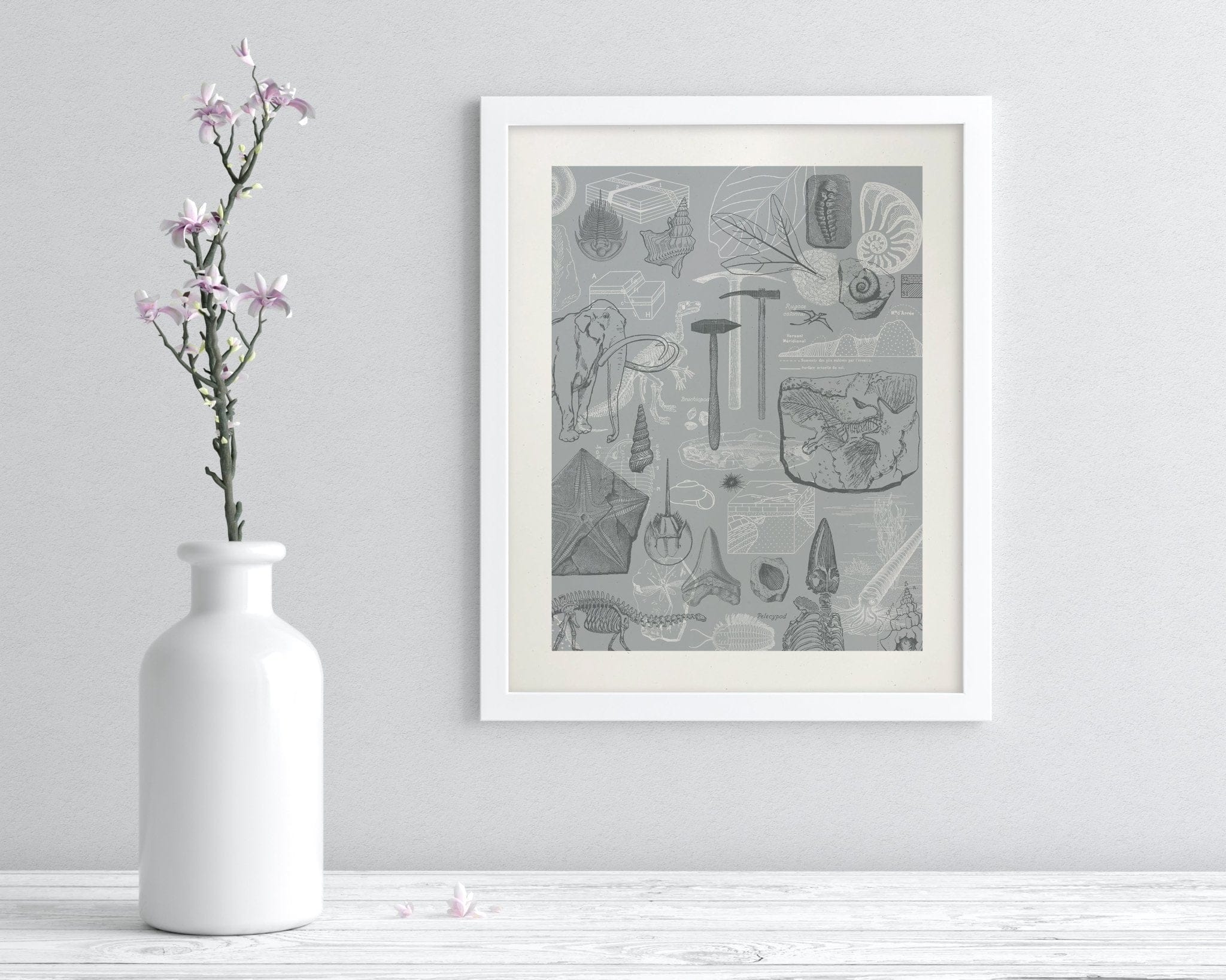 Paleontology Scientific Illustration Museum Print - Image 3