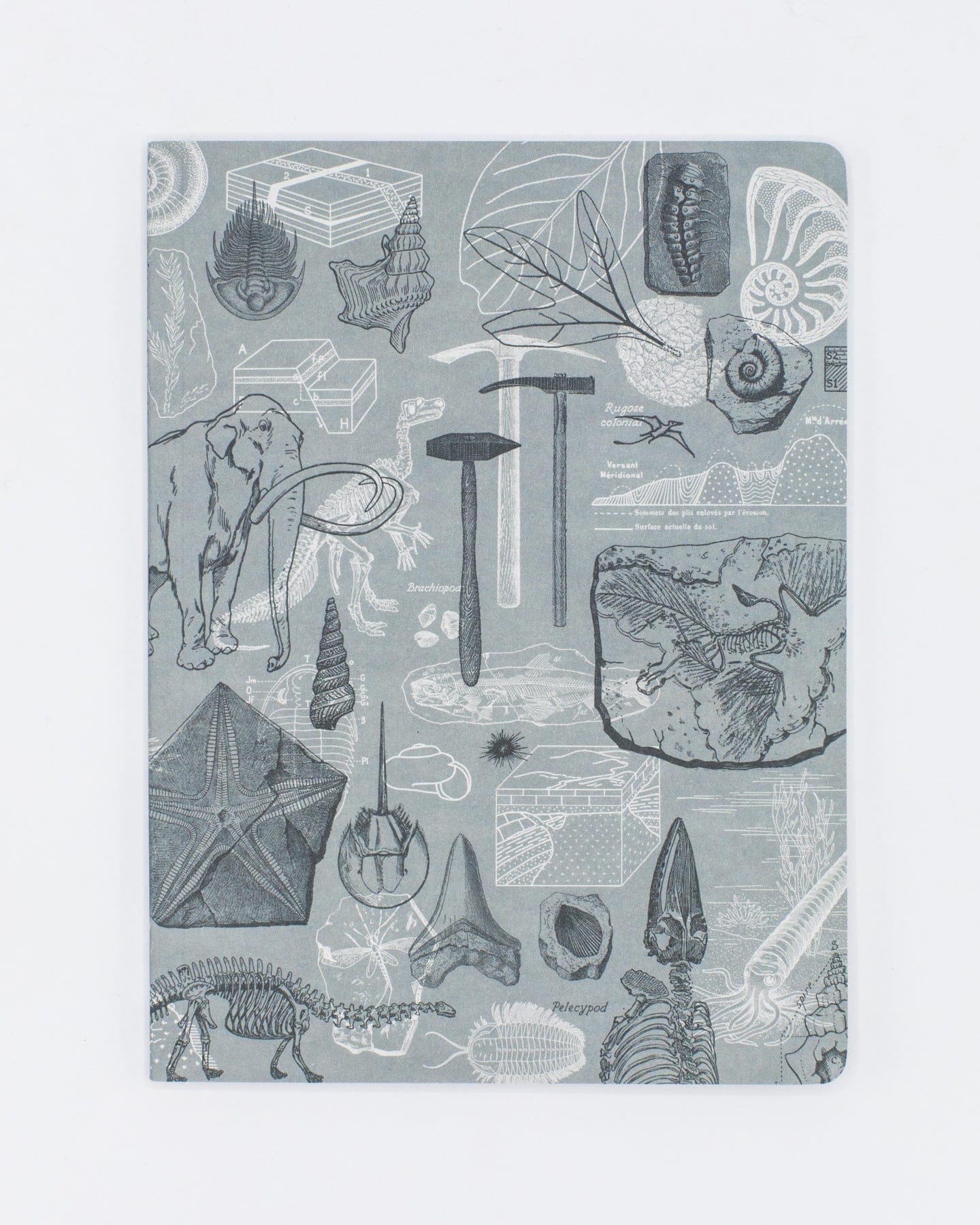 Paleontology Softcover Notebook - Dot Grid