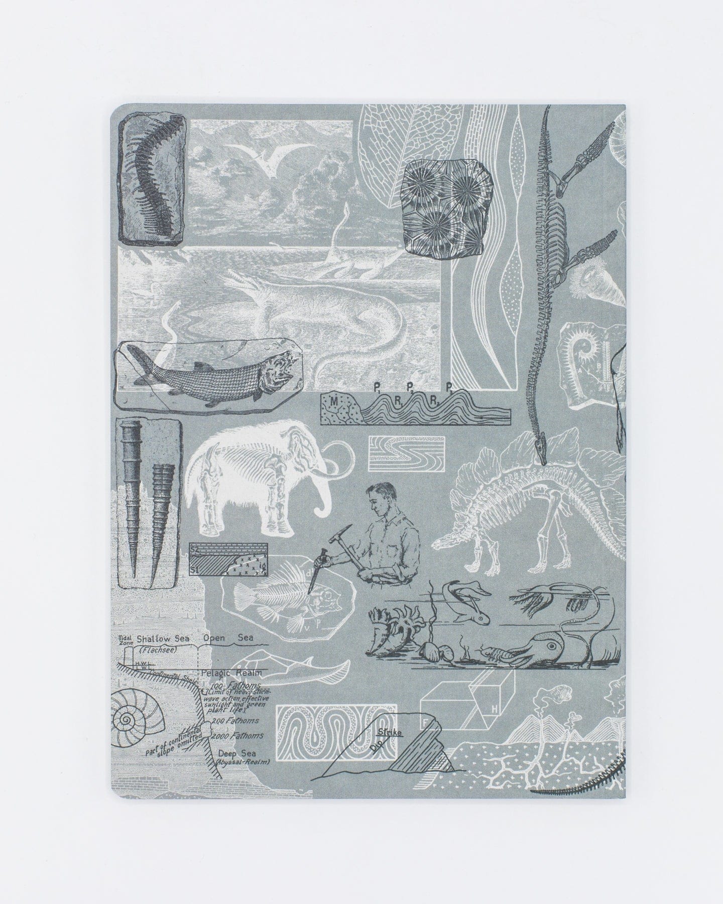 Paleontology Softcover Notebook - Dot Grid - Image 2