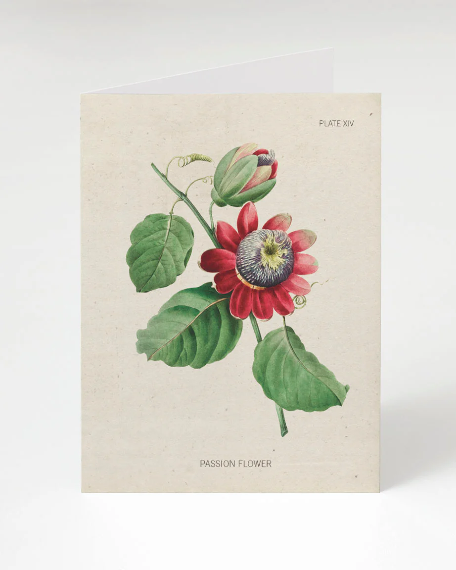 Passion Flower Greeting Card