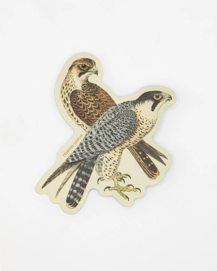 Peregrine Falcon Sticker - Image 2