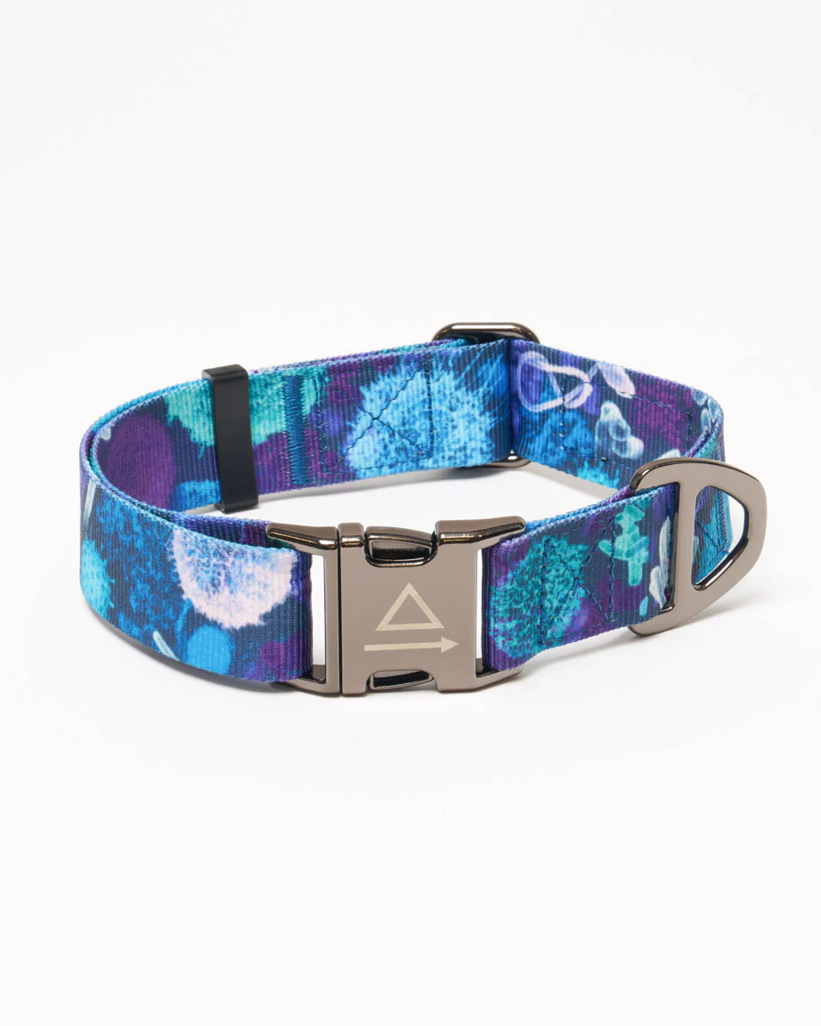 Infectious Disease Eco Pet Collar
