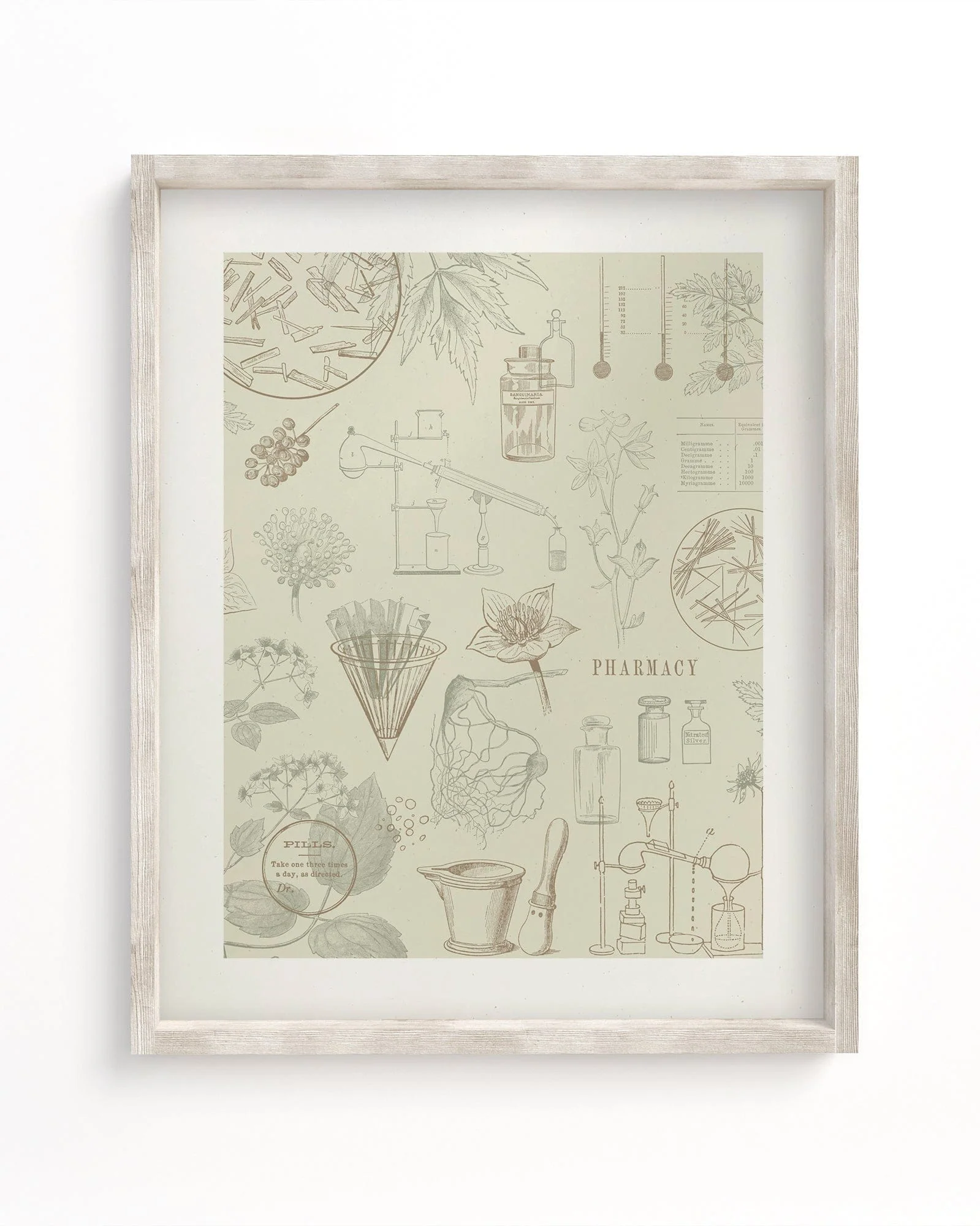 Pharmacy Scientific Illustration Museum Print
