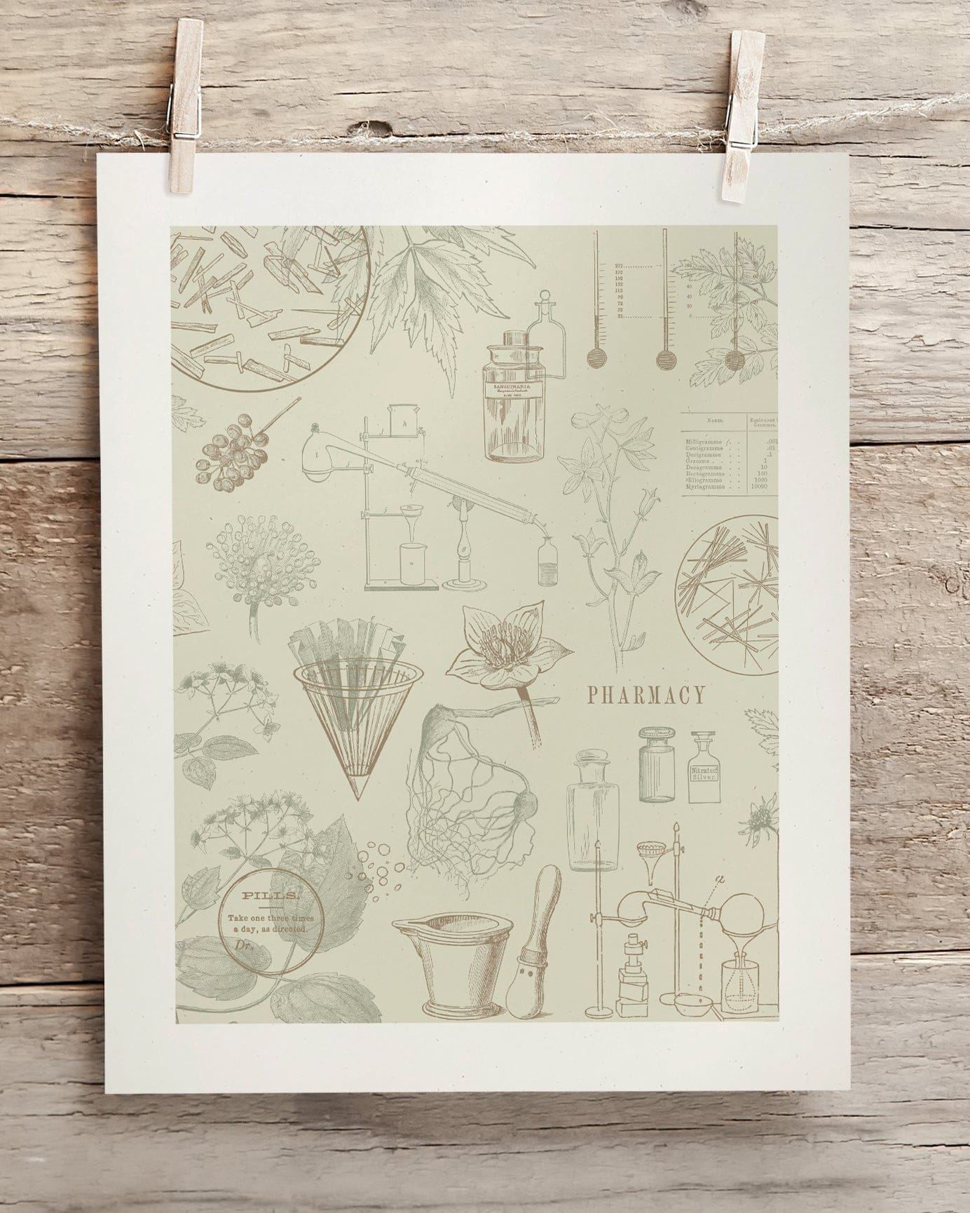 Pharmacy Scientific Illustration Museum Print - Image 2