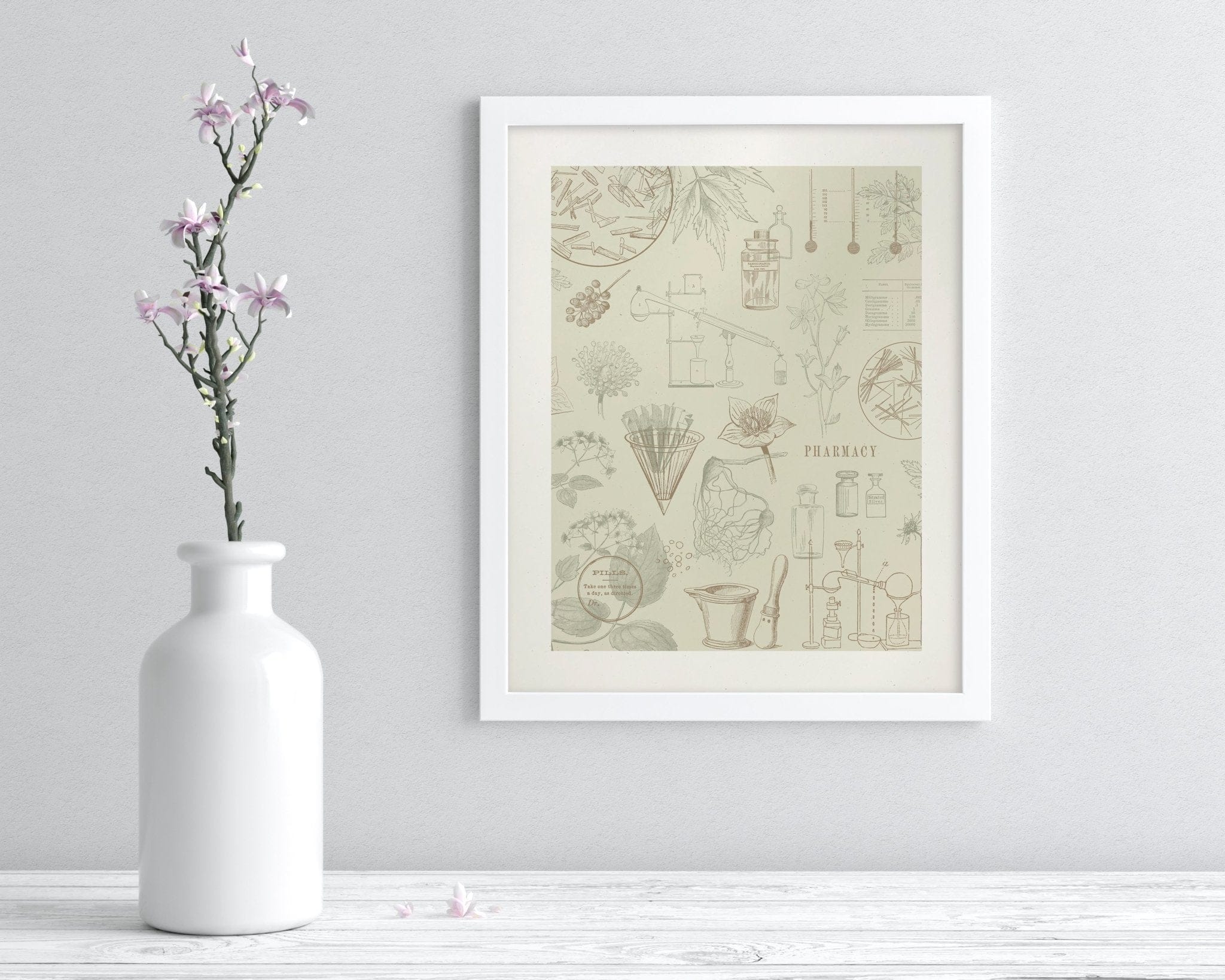 Pharmacy Scientific Illustration Museum Print - Image 3